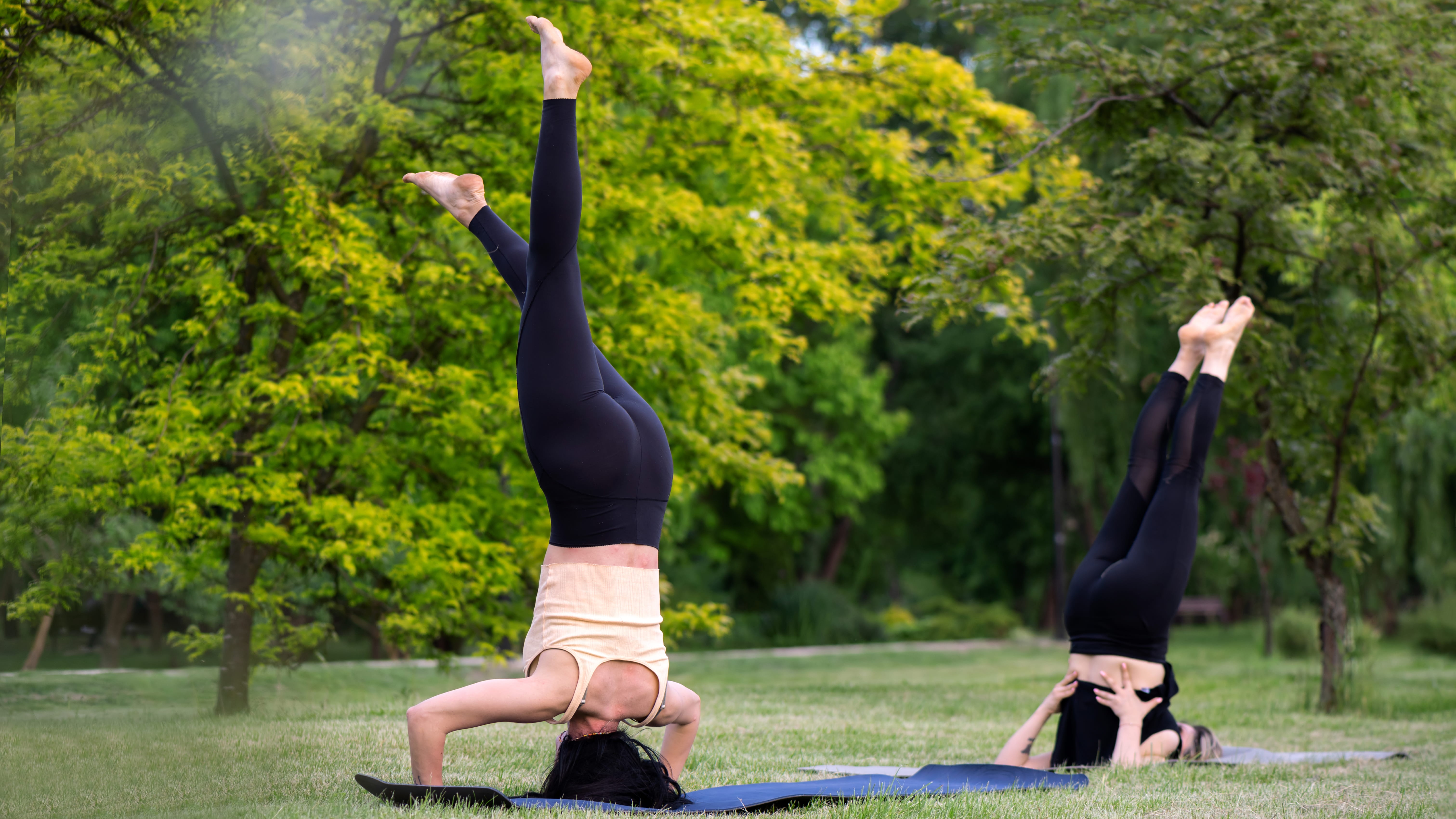  two-women-doing-yoga-nature1