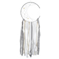 Dreamcatcher łapacz snów myga Selene