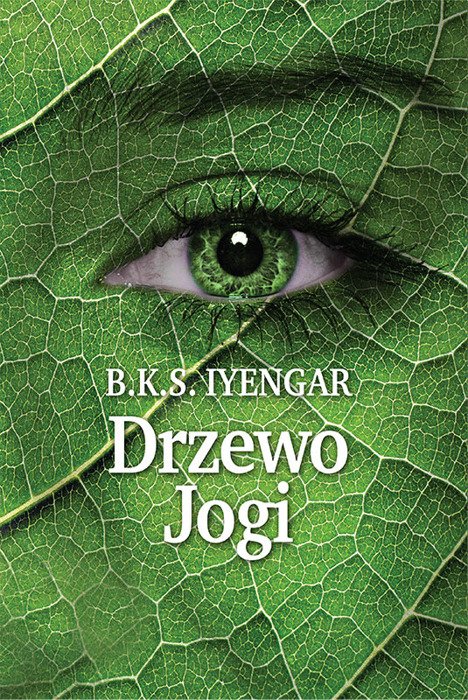 Drzewo jogi Outlet